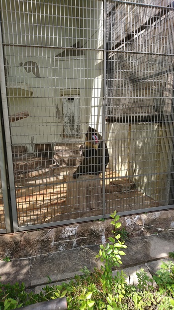 25日・天王寺動物園！